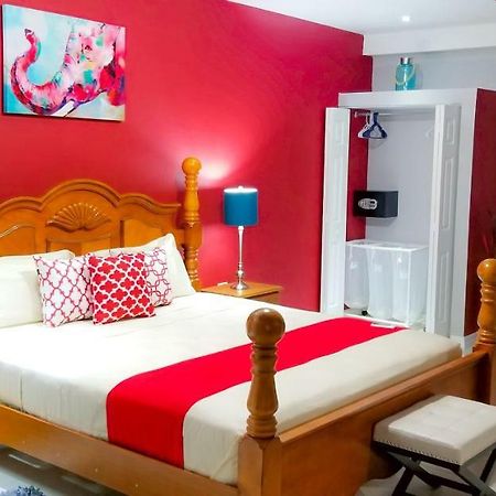 Casa Tamar Guest Apartment Кінгстон Екстер'єр фото