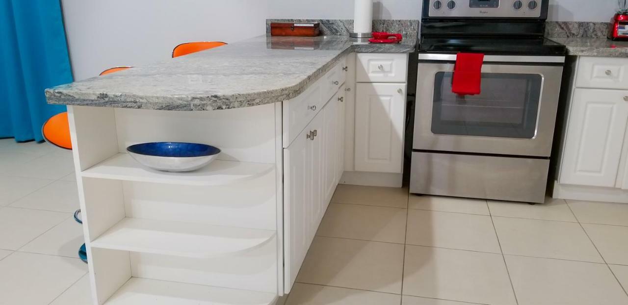 Casa Tamar Guest Apartment Кінгстон Екстер'єр фото